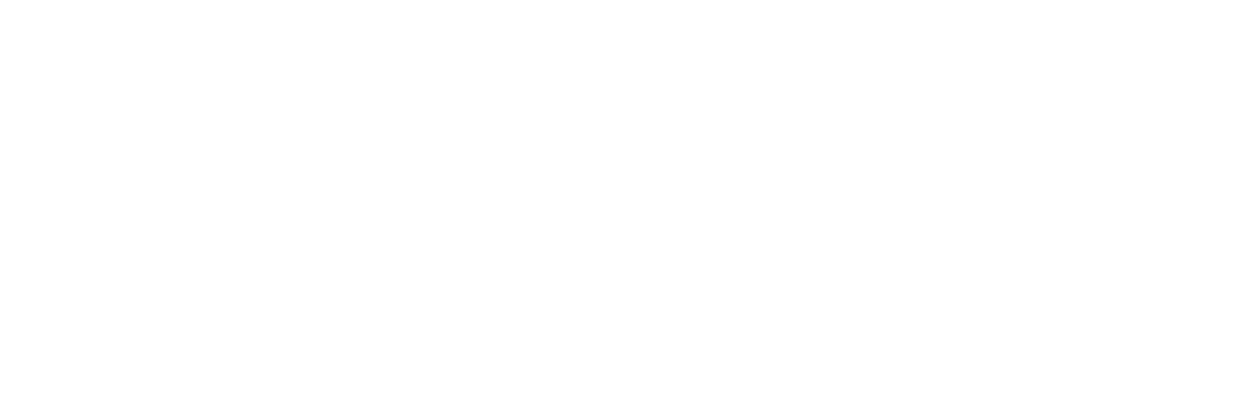 tomax_logo